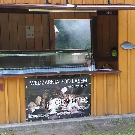 Wedzarnia Pod Lasem Гостевой дом Мронгово